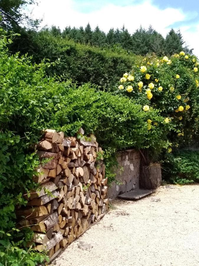 La Maison Du Potager Saint-Racho 外观 照片