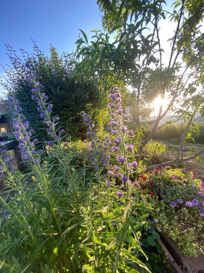 La Maison Du Potager Saint-Racho 外观 照片
