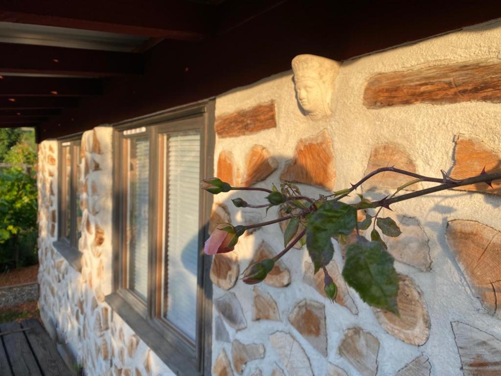 La Maison Du Potager Saint-Racho 外观 照片