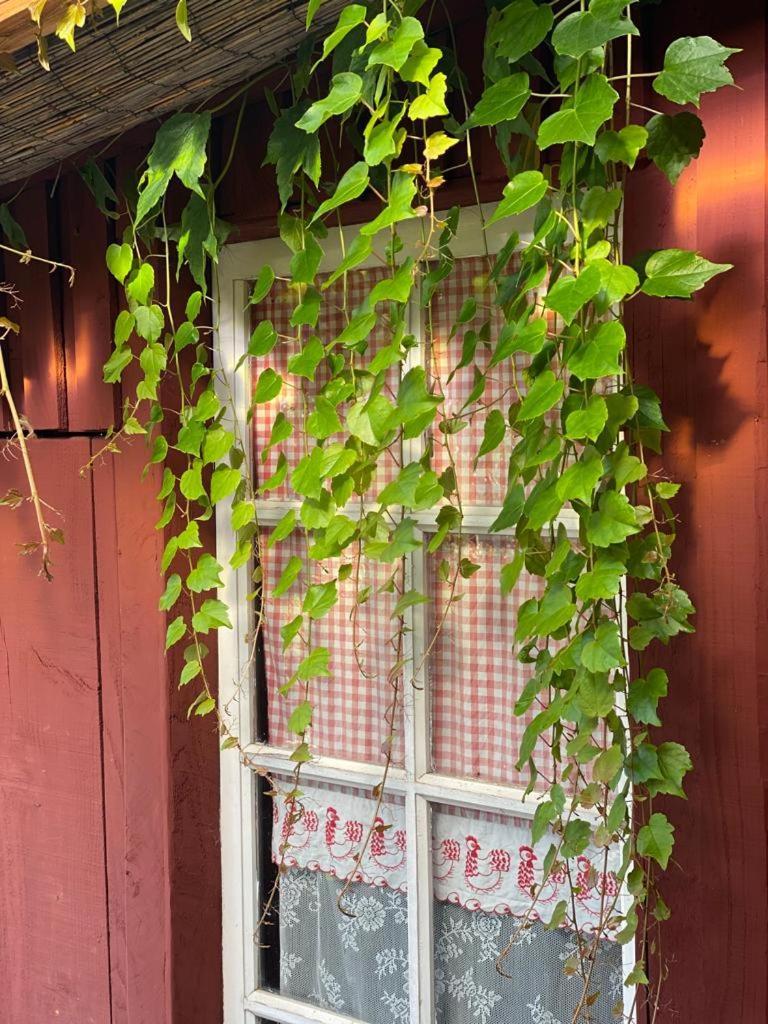 La Maison Du Potager Saint-Racho 外观 照片